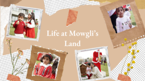 Read more about the article Life at Mowgli’s Land Preschool